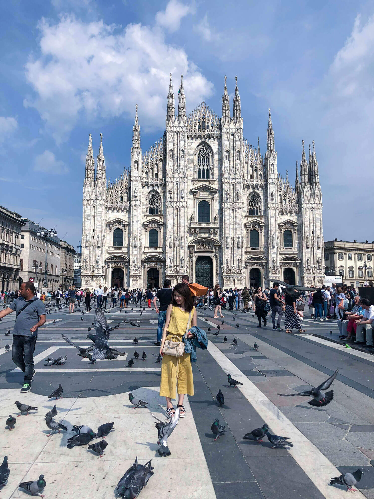 米蘭大教堂廣場鴿子群