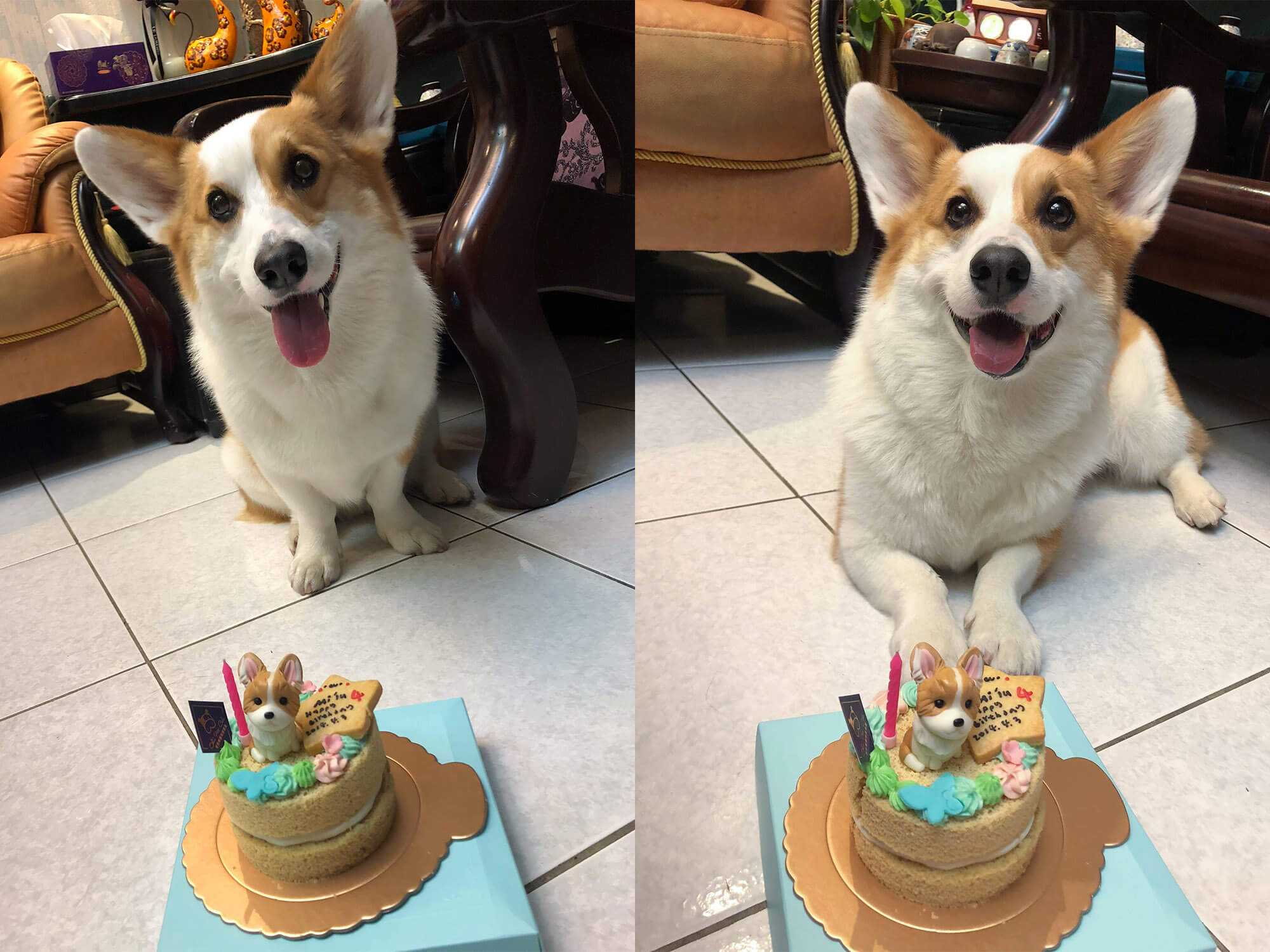 Milu與他的生日蛋糕