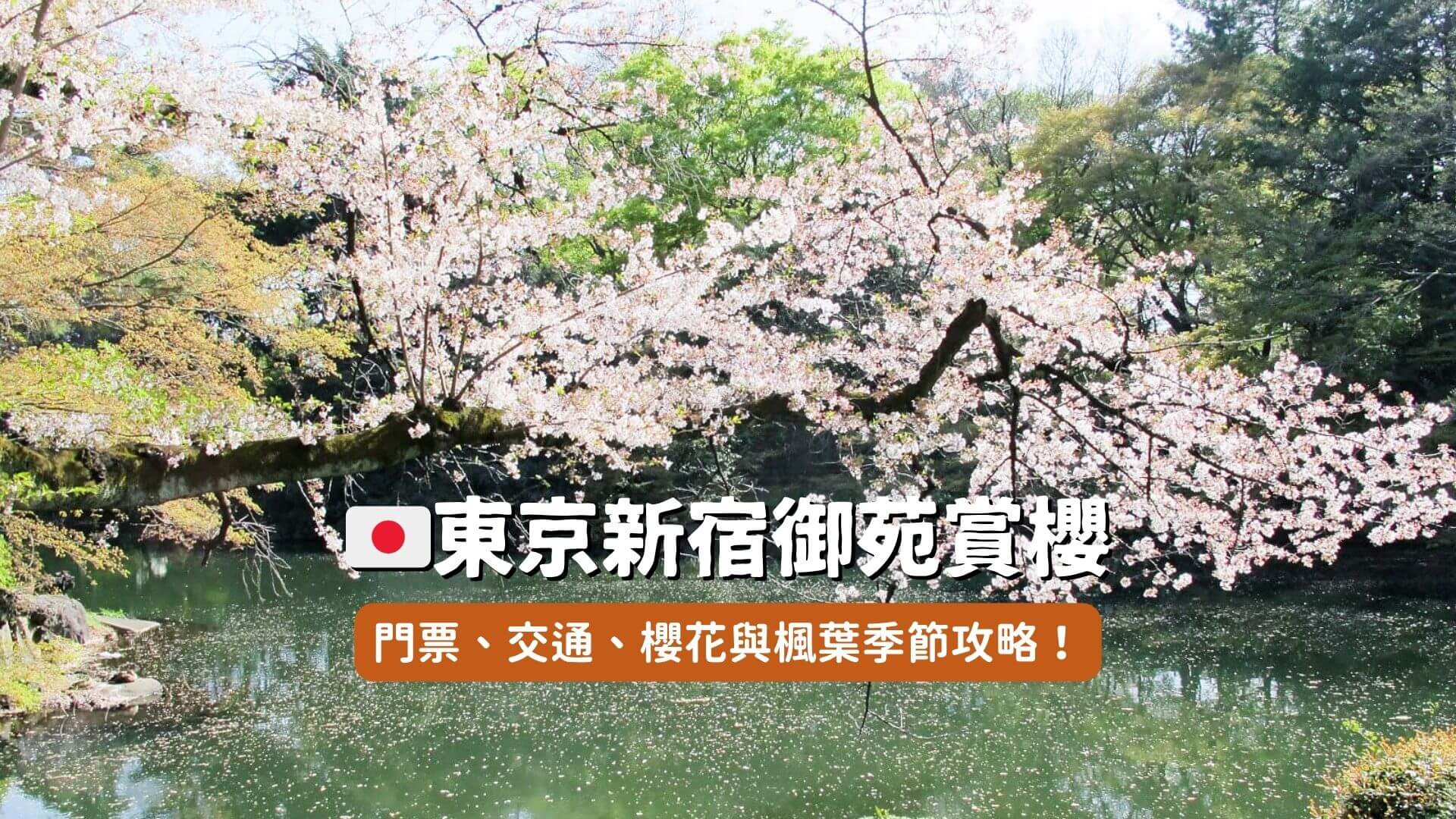 新宿御苑賞櫻攻略