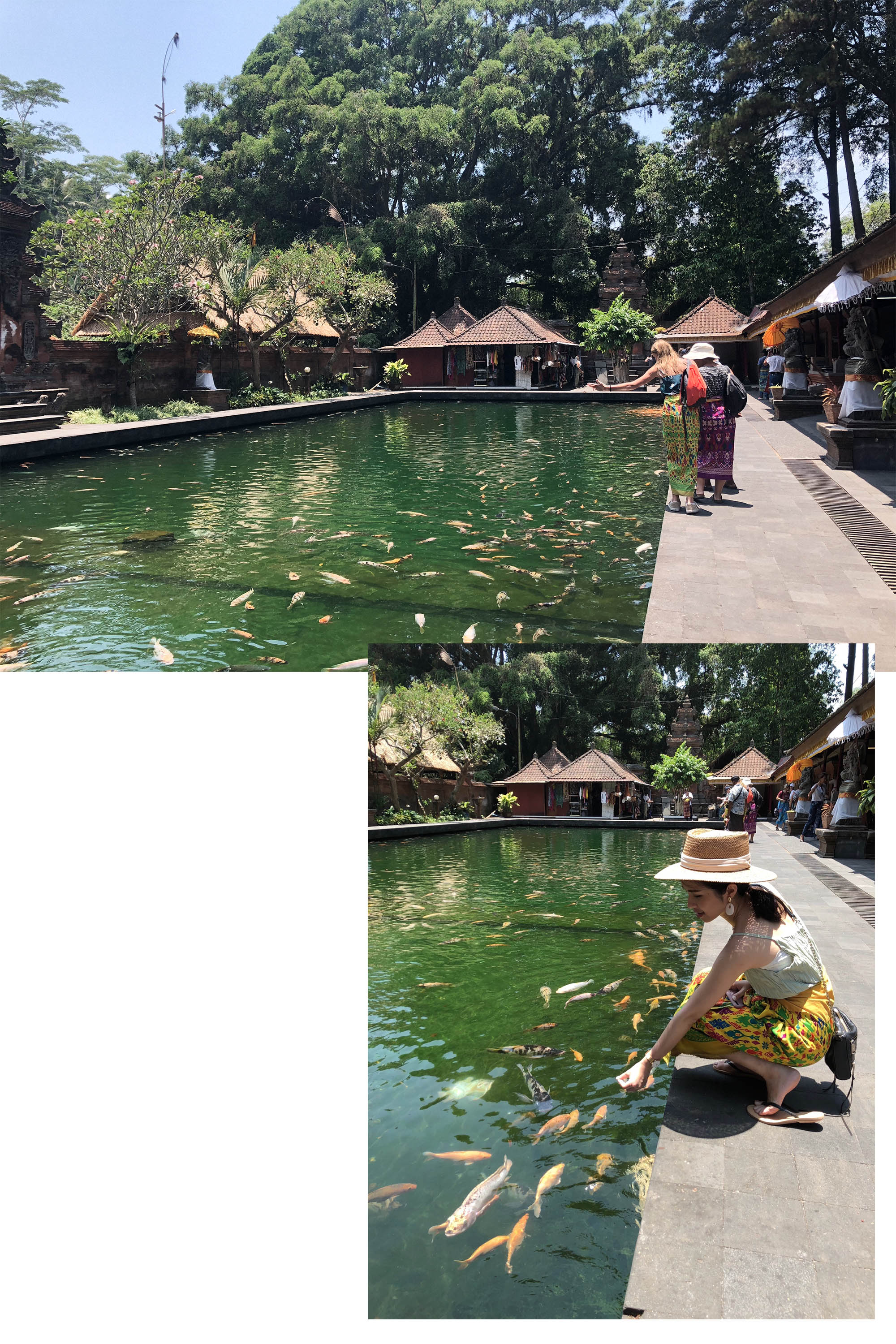 聖泉寺魚池