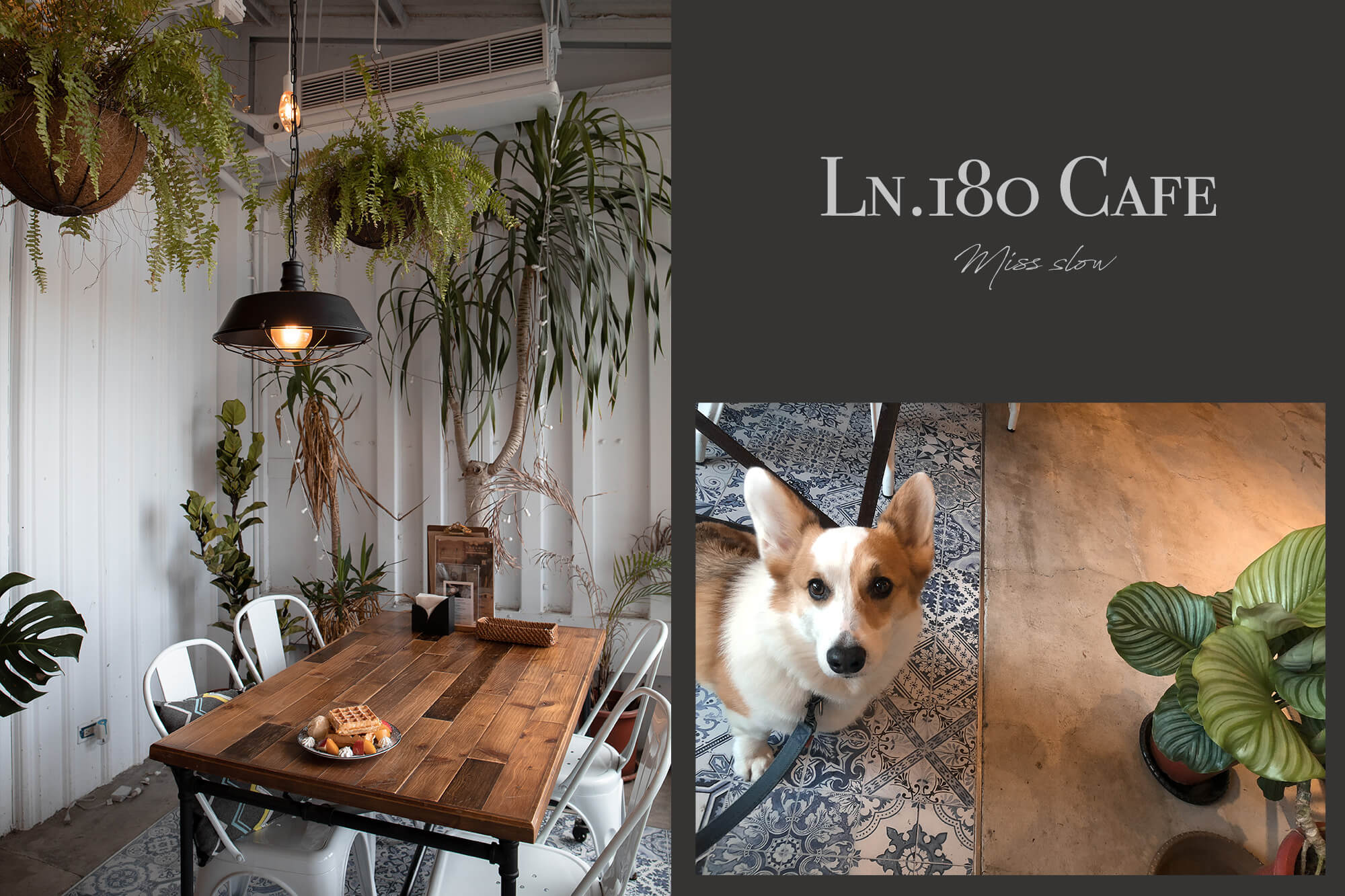 Ln180 Cafe_環境&Milu