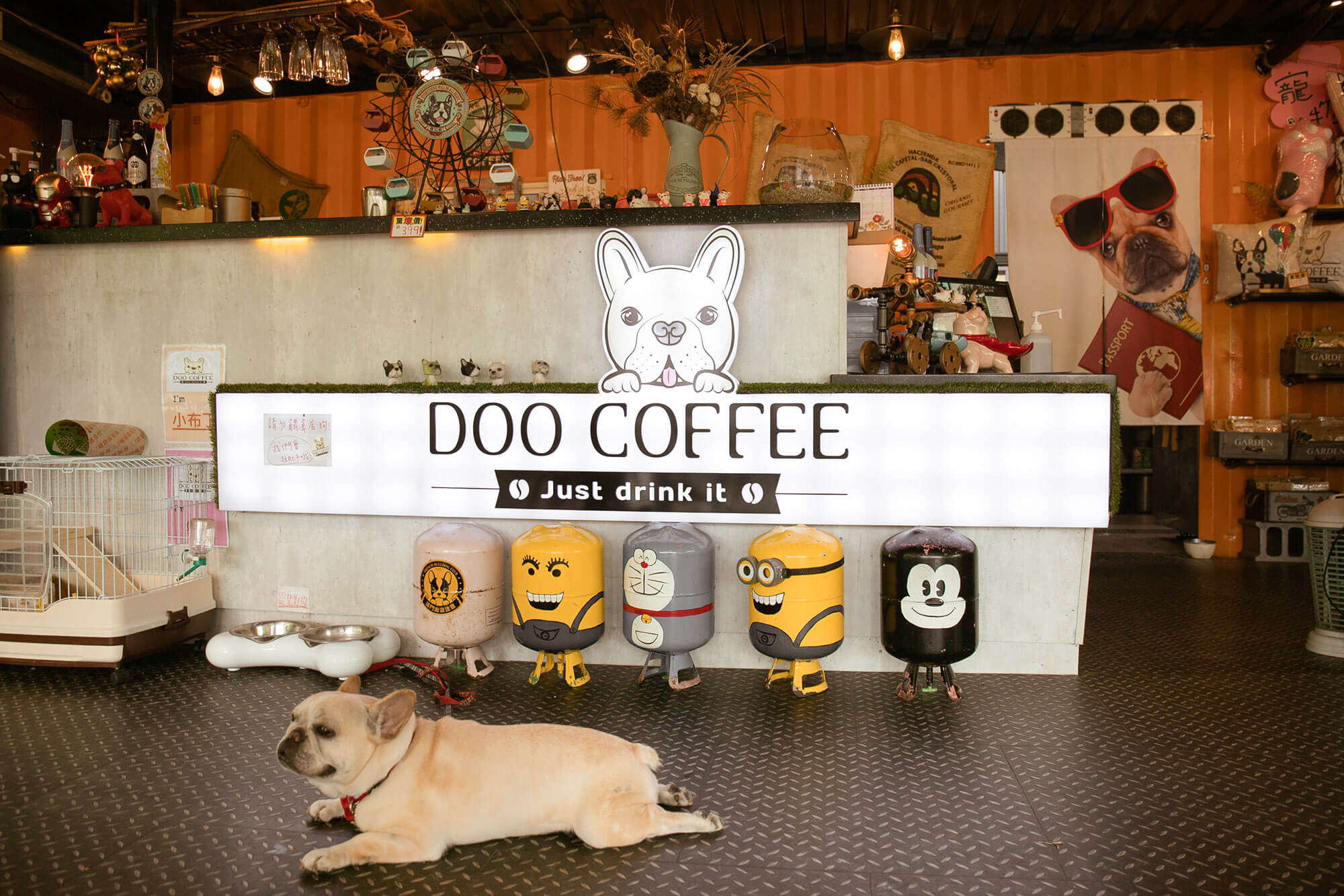 dog coffee_店內櫃檯1
