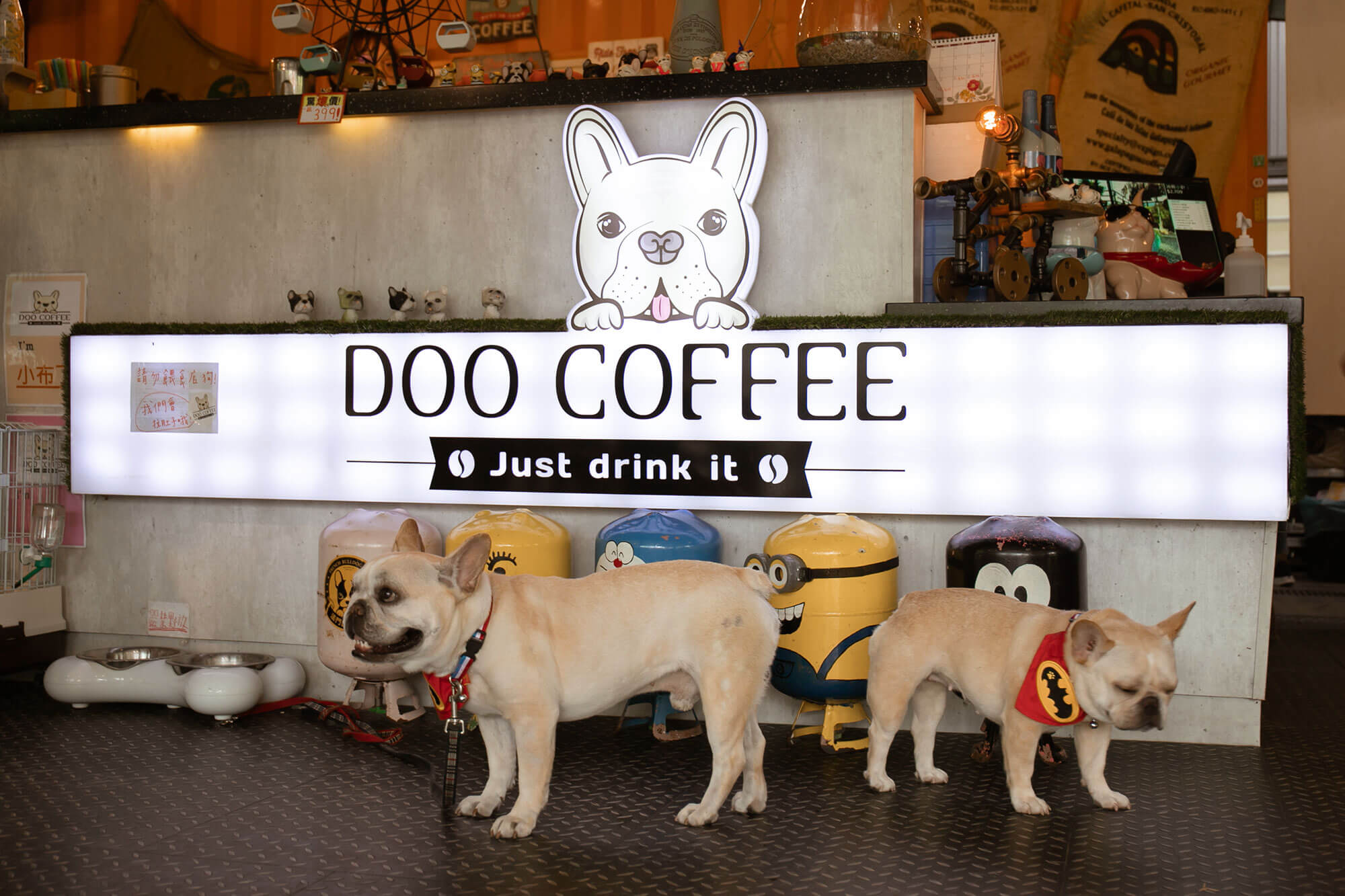 dog coffee_櫃檯法鬥