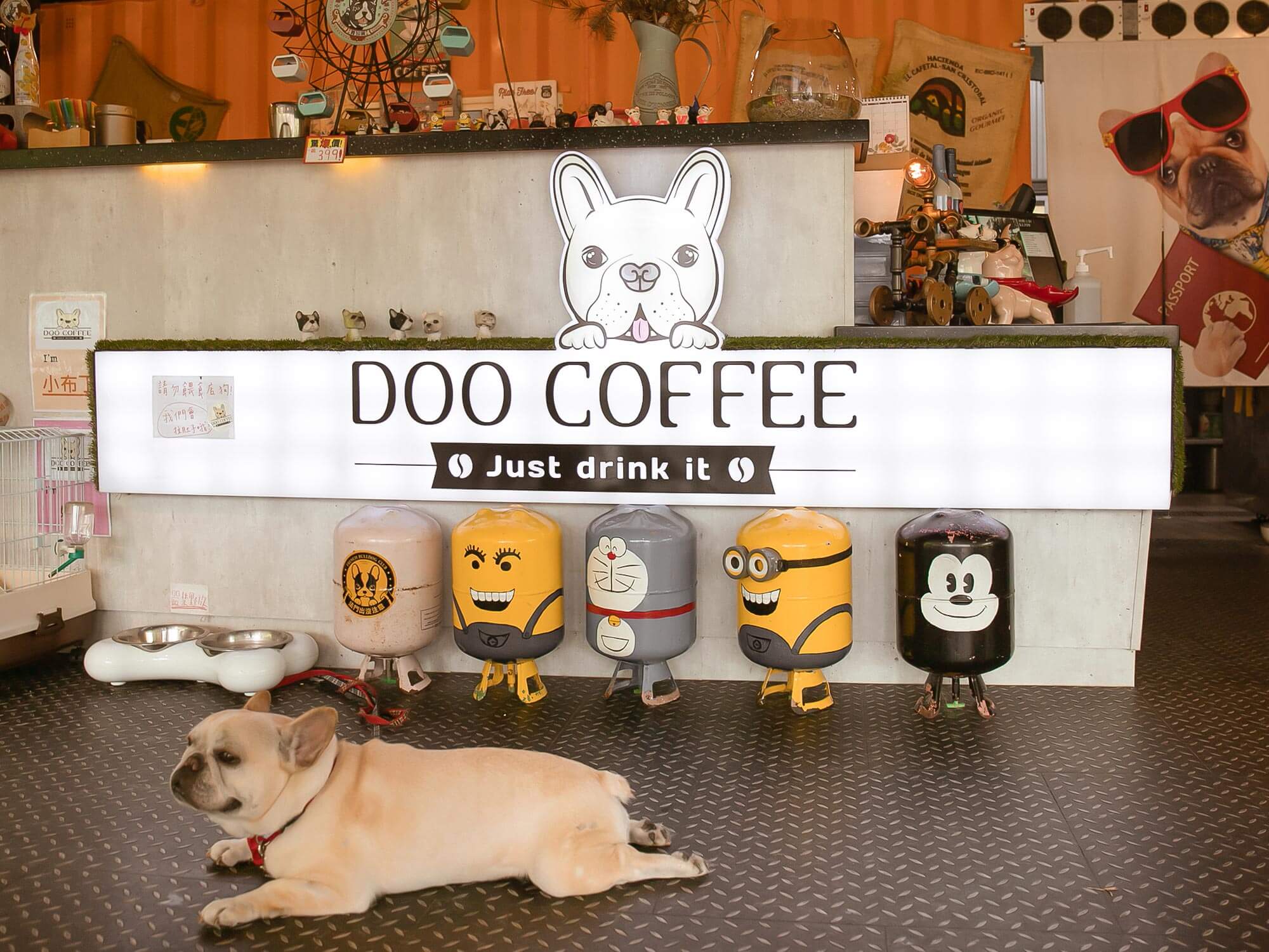 苗栗公館Doo Coffee｜寵物友善貨櫃餐廳，內有2隻萌犬法鬥，來一杯美美的下午茶吧！炸物和飲料都很推！