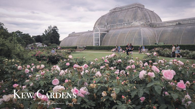 邱園Kew Gardens英國皇家植物園必看的8大重點！購票和交通方式（內含地圖和注意事項）