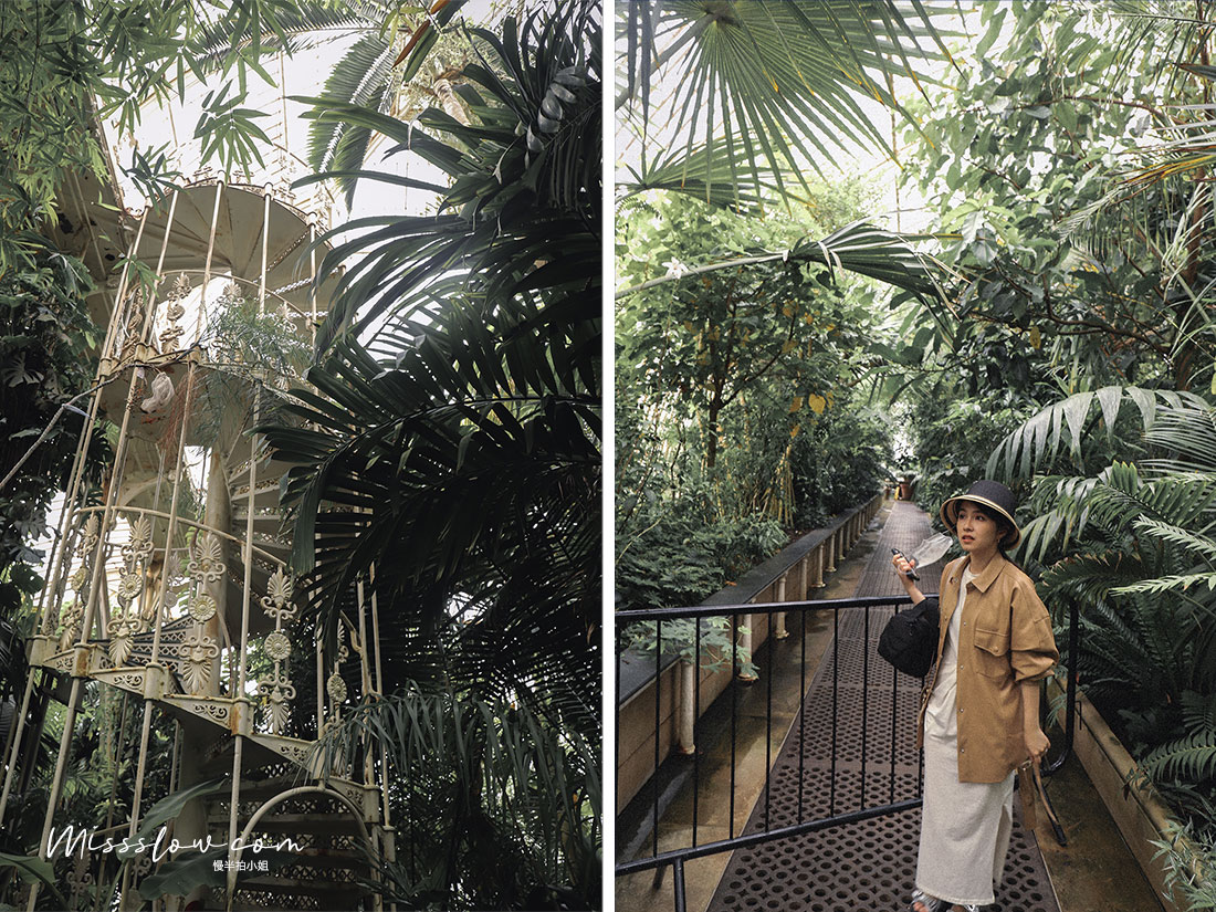 邱園kew Gardens:The Palm House
