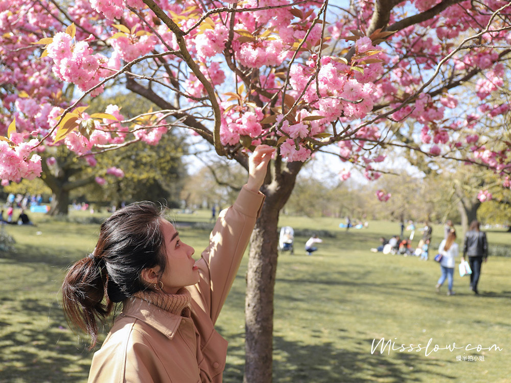 英國自由行-倫敦春天櫻花季-格林威治公園