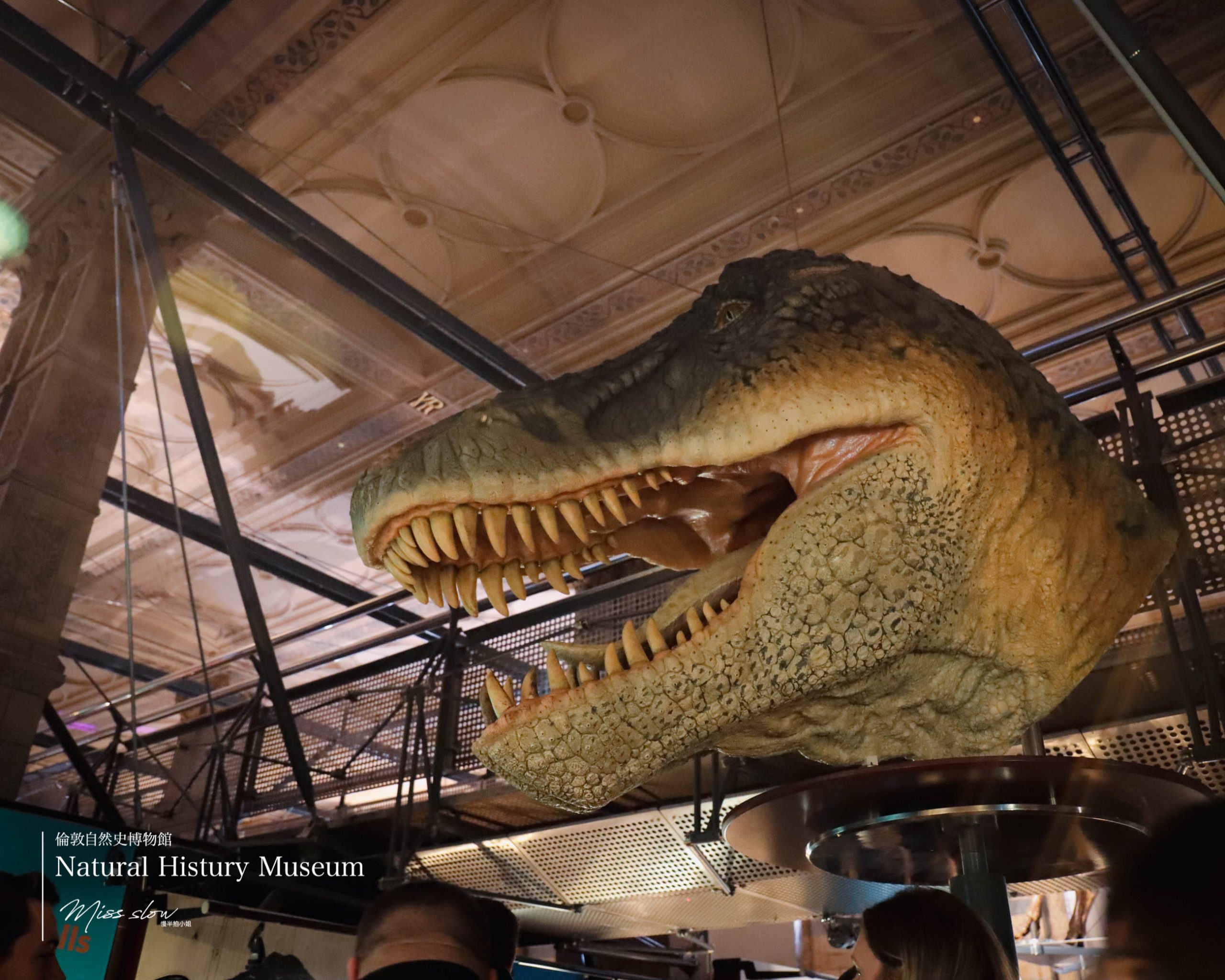 倫敦自然史博物館-恐龍館