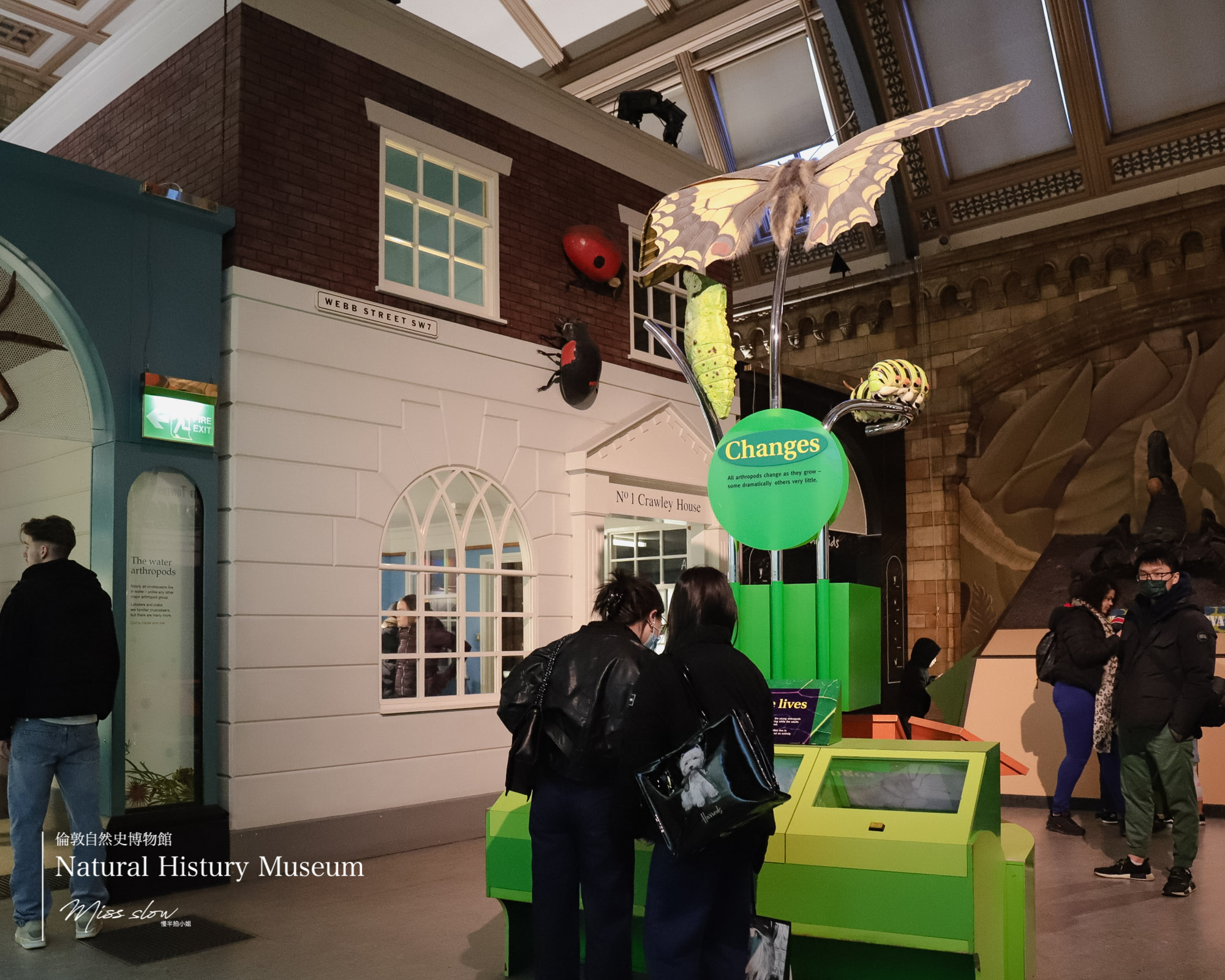 倫敦自然史博物館-爬蟲動物館