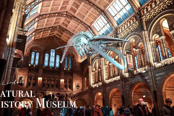 倫敦自然歷史博物館：參觀一億年多前的恐龍化石！如何訂票？交通方式介紹（內含地圖）
