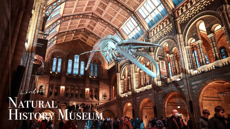 倫敦自然史博物館：參觀一億年多前的恐龍化石！如何訂票？交通方式介紹（內含地圖）