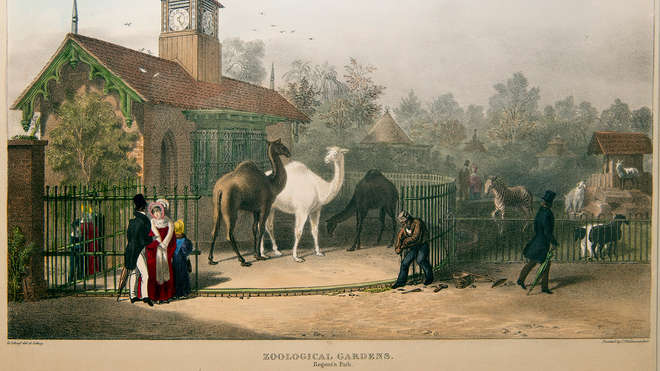 倫敦動物園以前的樣子示意圖