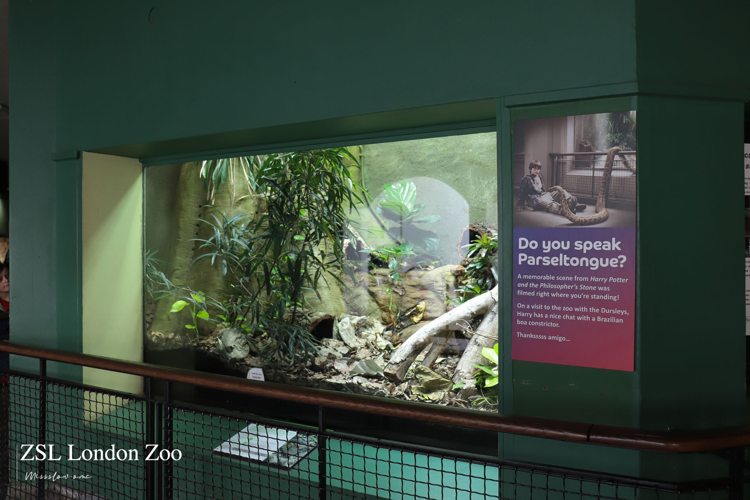 倫敦動物園-兩棲動物爬蟲館 Reptile House