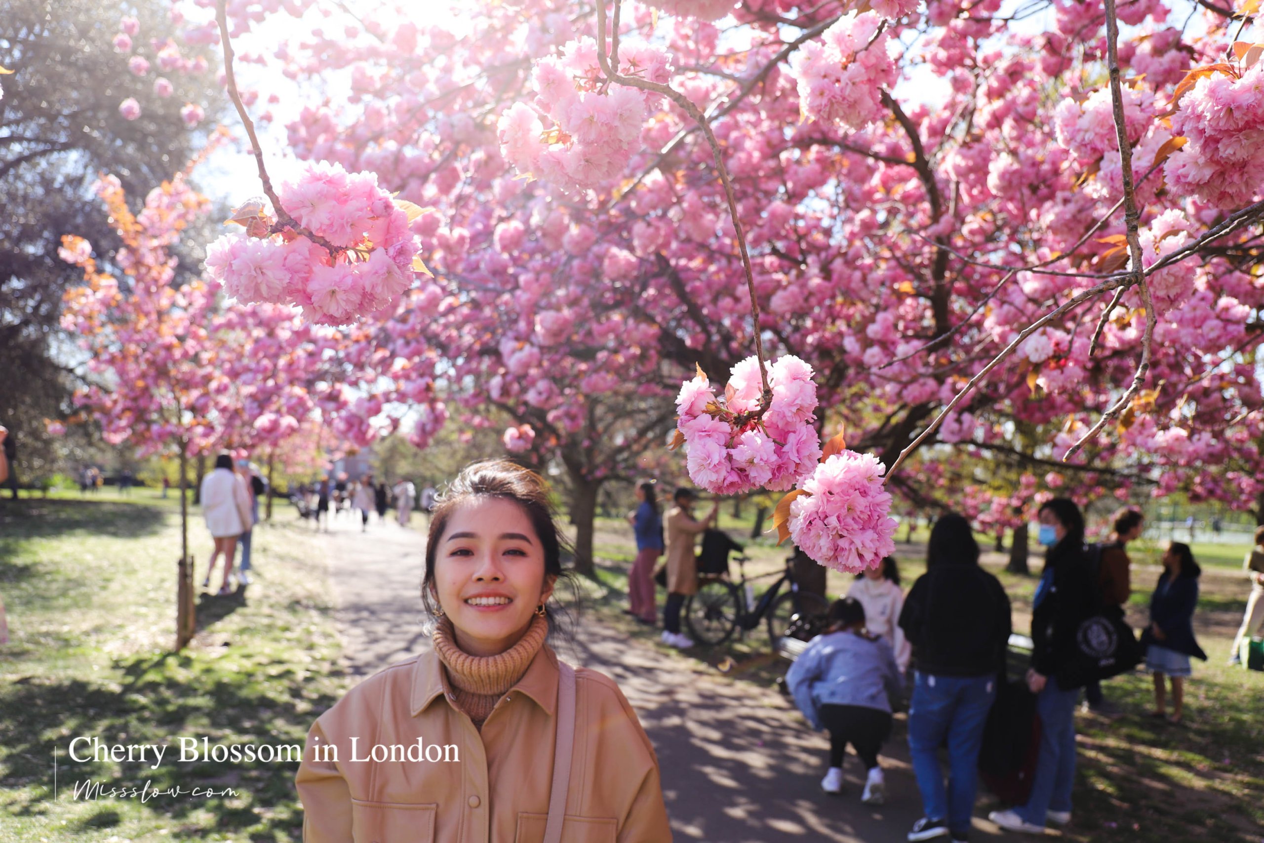 倫敦櫻花-格林威治公園
