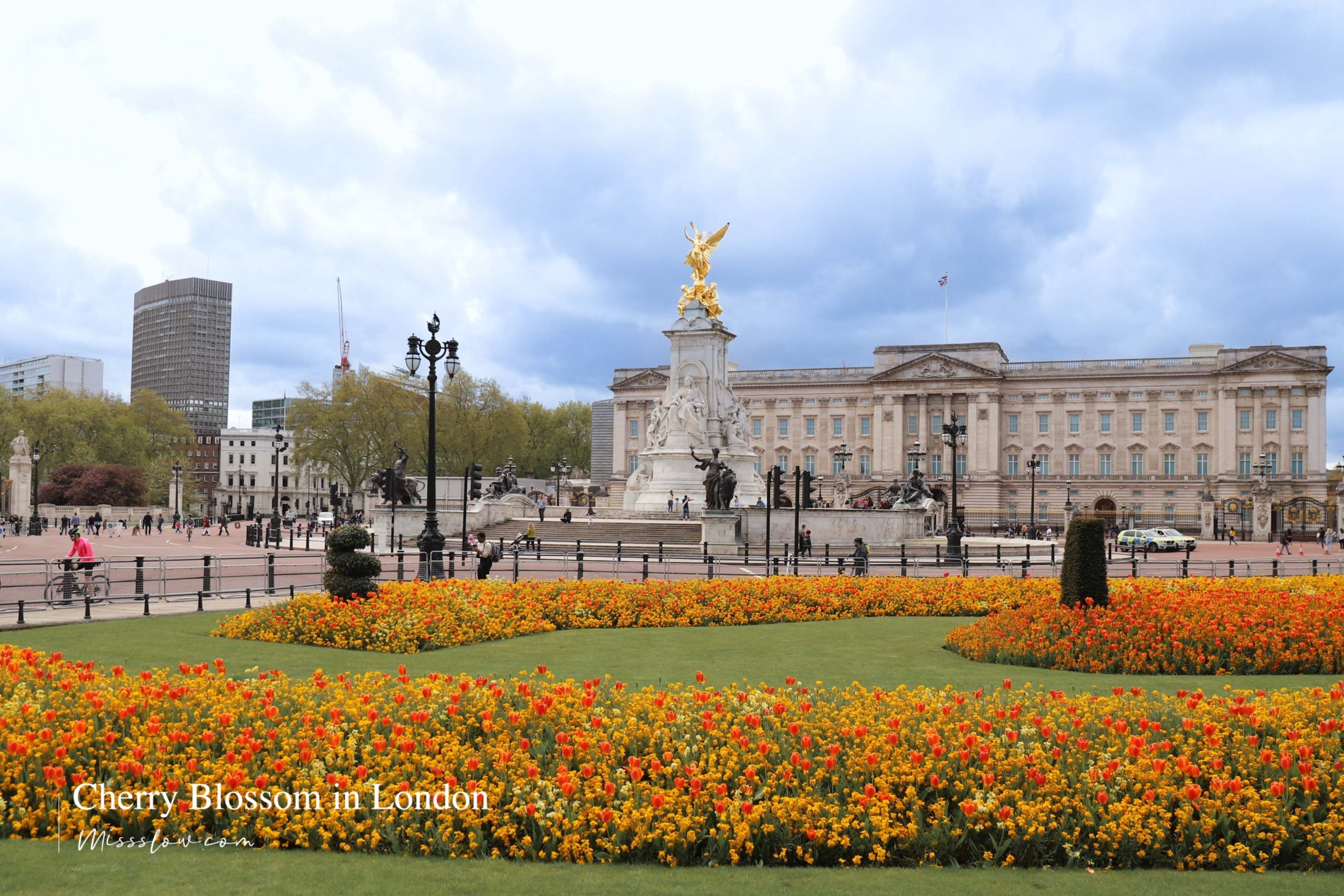 倫敦鬱金香_Buckingham Palace Memorial Gardens