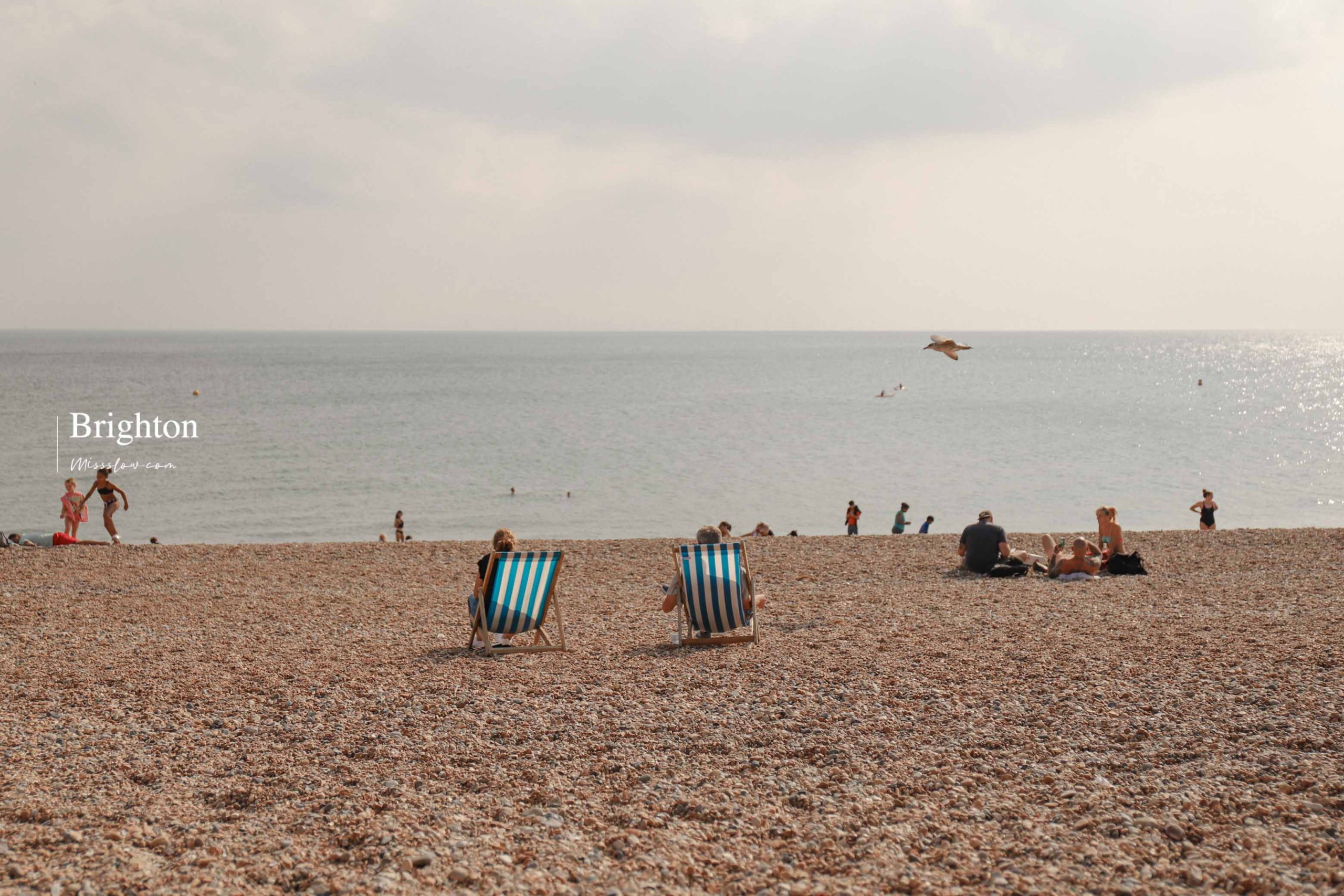 海灘上會看到藍白躺椅，這是需要花錢租借的喔！