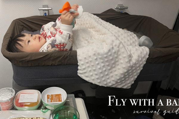 如何輕鬆優雅帶嬰兒搭長途飛機：4個月和11個月寶寶的飛行指南