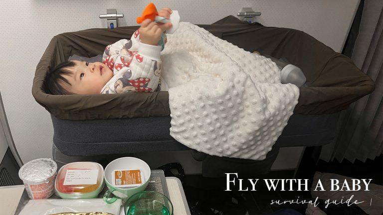 如何輕鬆優雅帶嬰兒搭長途飛機：4個月和11個月寶寶的飛行指南