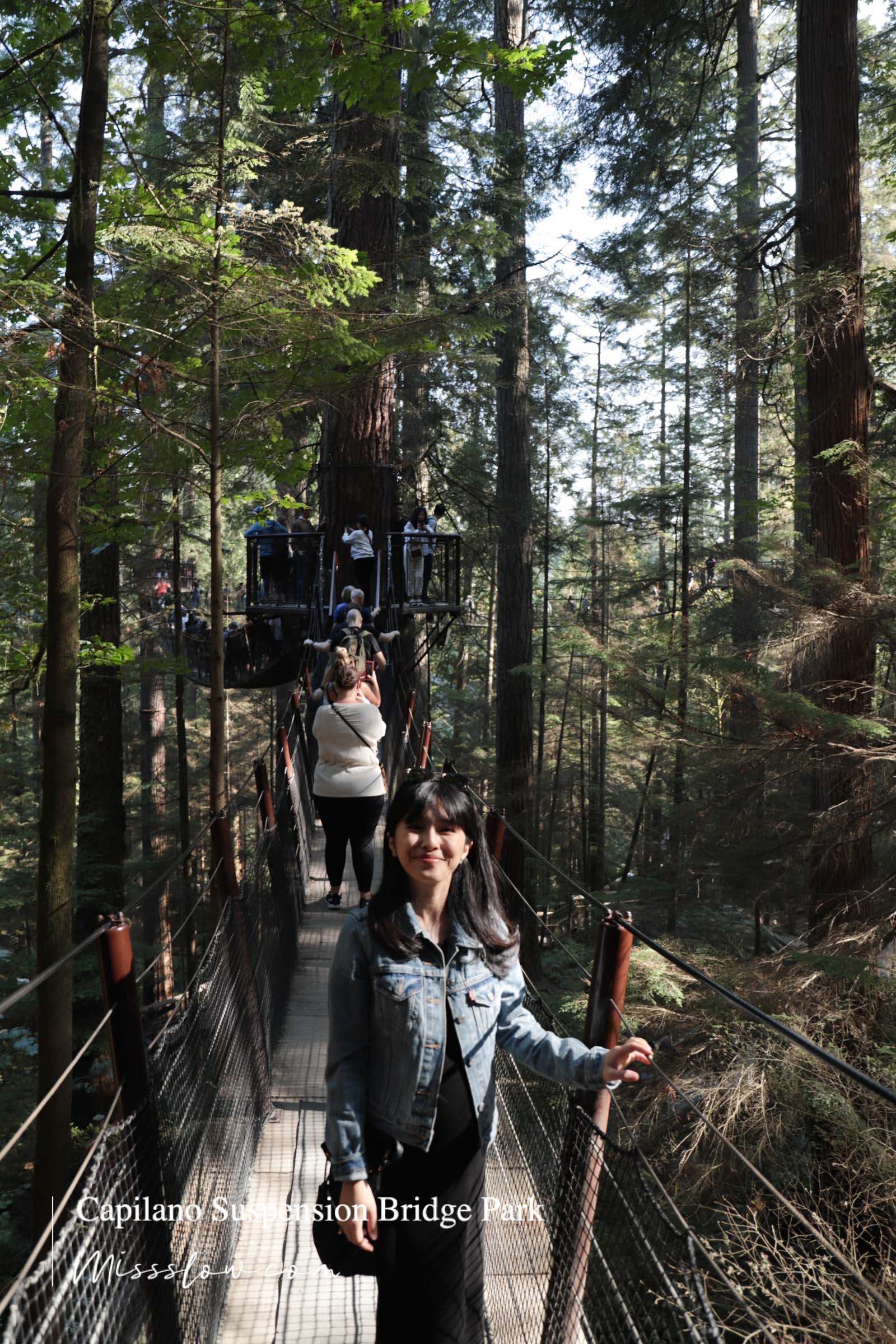 卡皮拉諾吊橋 The Suspension Bridge-Treetops Adventure
