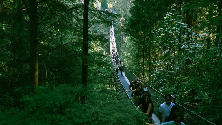 溫哥華卡皮拉諾吊橋公園：絕美森林秘境的5大必看重點、交通、注意事項