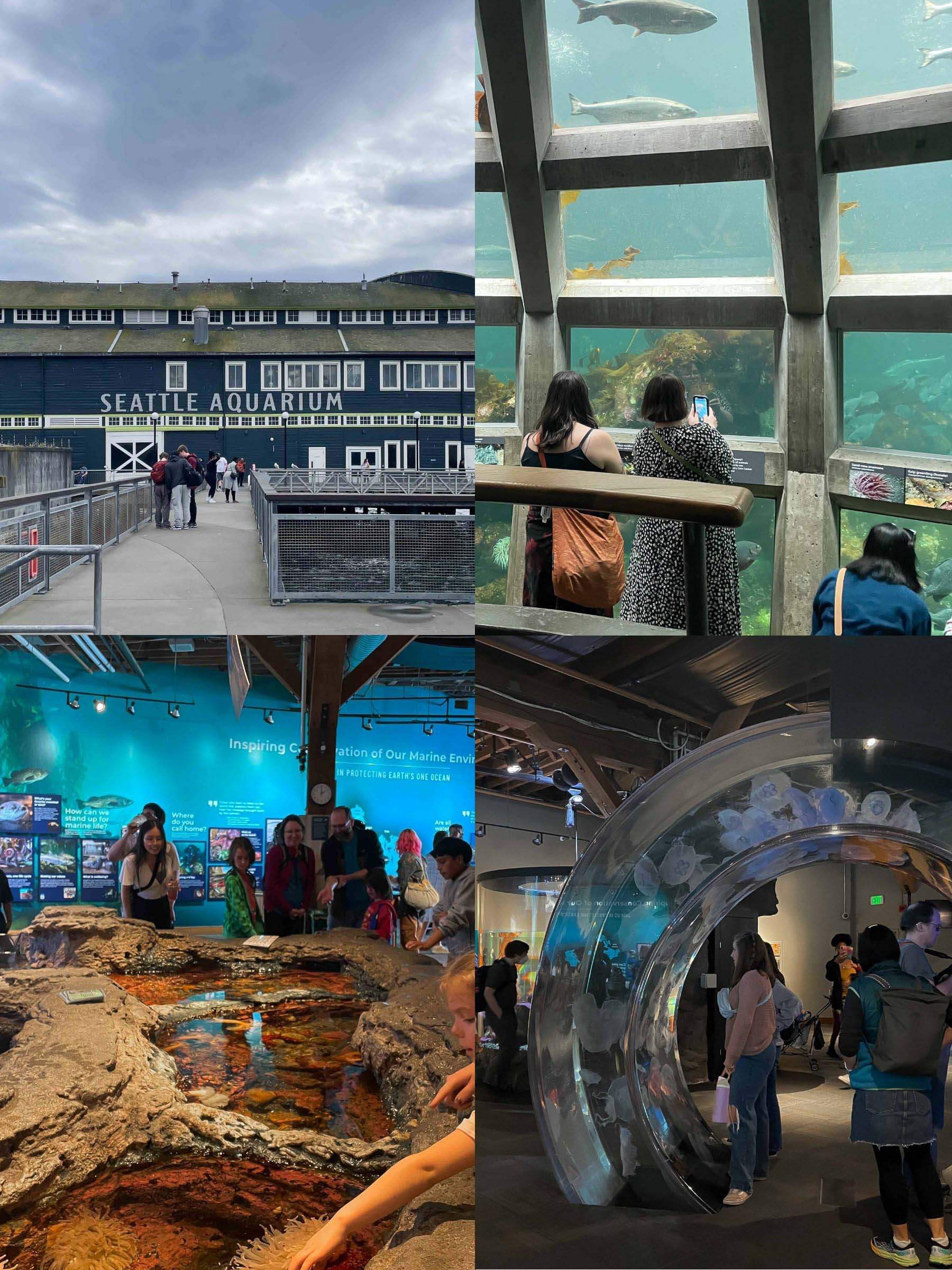 西雅圖水族館