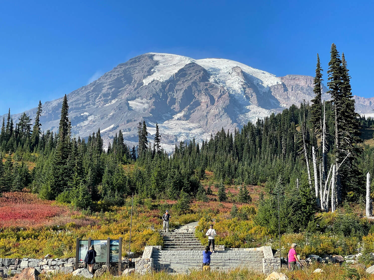 西雅圖必訪景點-雷尼爾火山國家公園