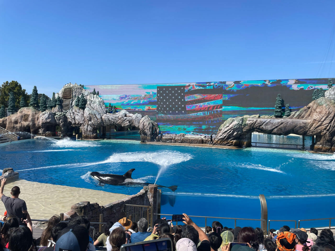 2026聖地牙哥海洋世界｜親訪攻略】必看5大館、門票和最順行程規劃！