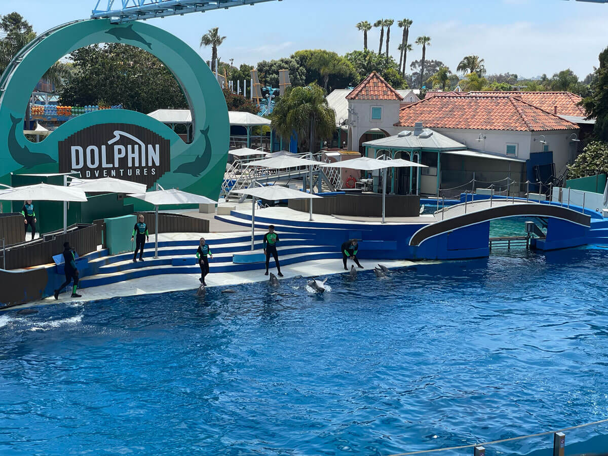 聖地牙哥海洋世界海豚表演