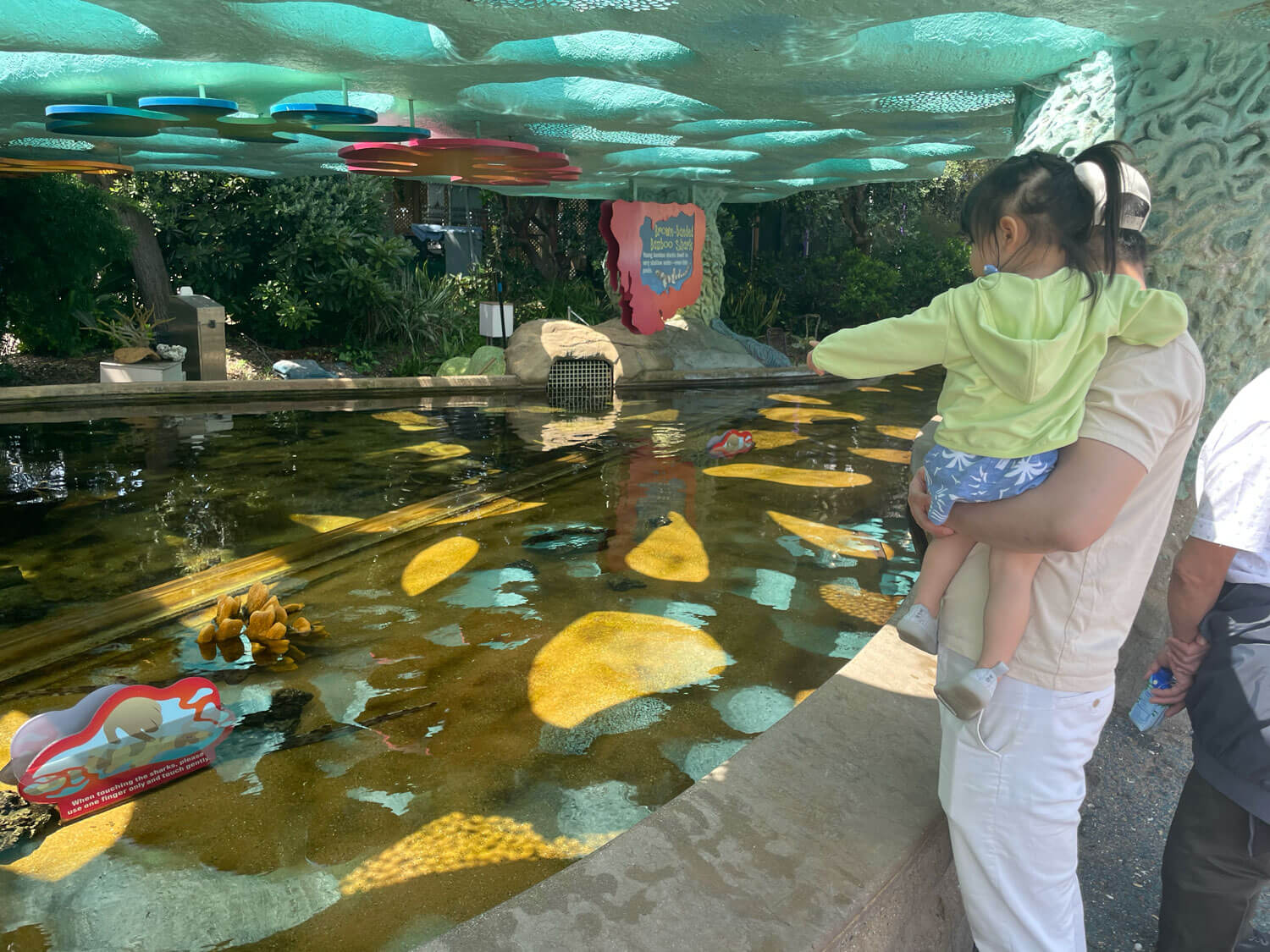 聖地牙哥海洋世界觸摸池