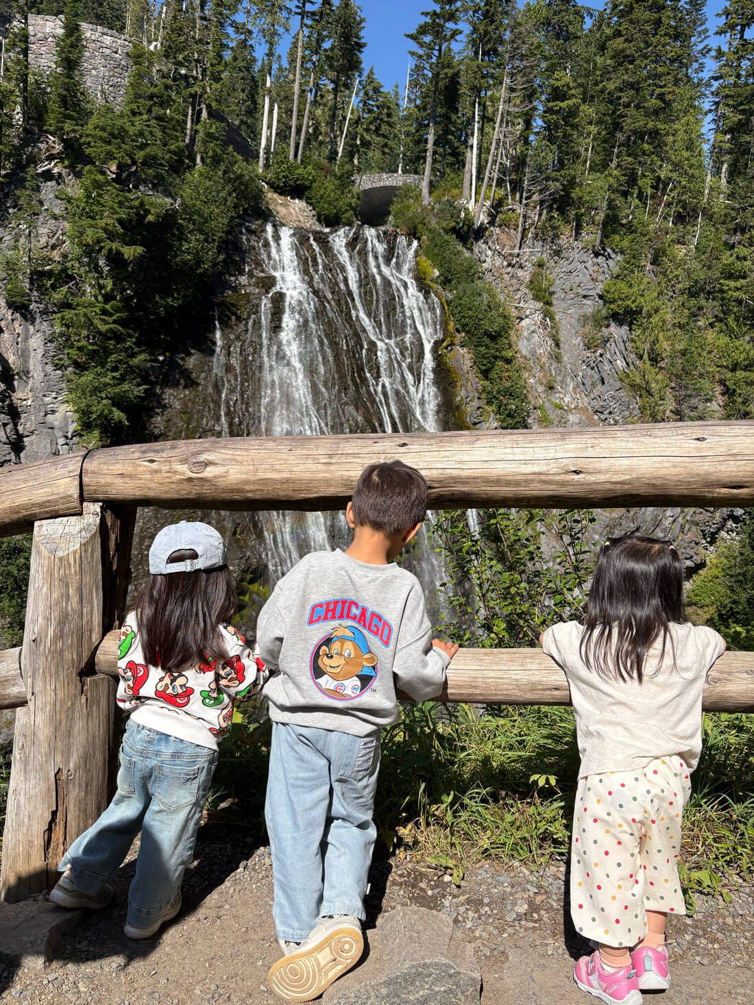 雷尼爾國家公園Narada Falls