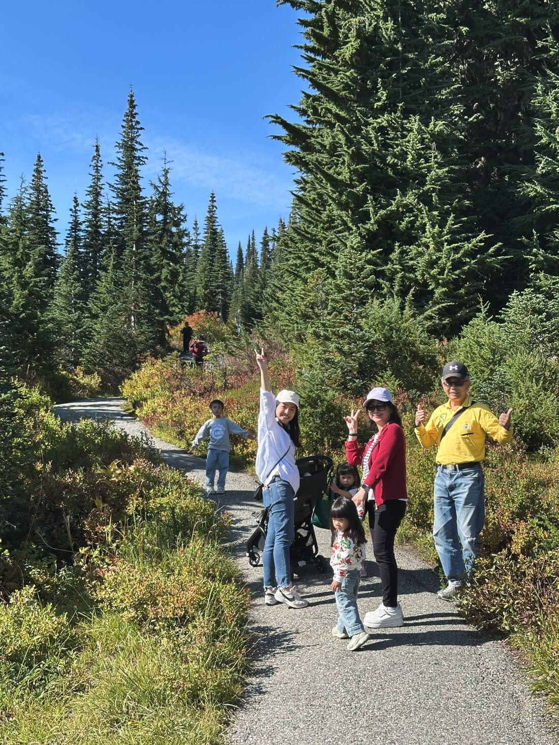 西雅圖雷尼爾國家公園Myrtle Falls Trail，親子、長輩都很適合