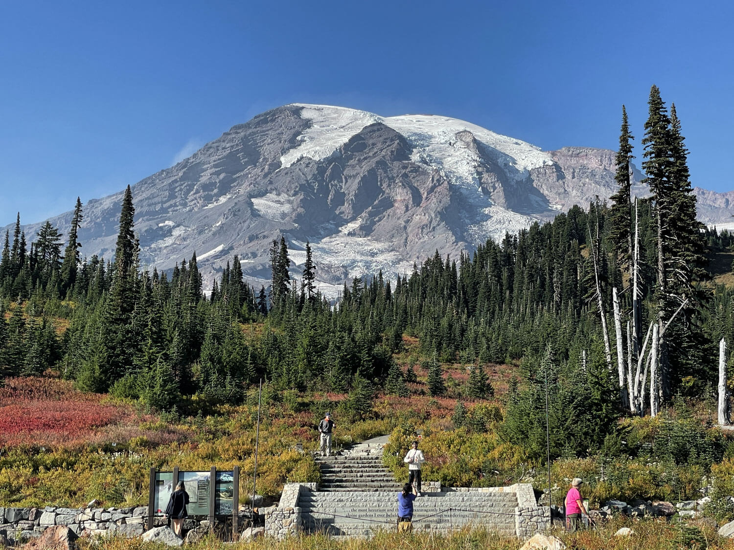 雷尼爾國家公園遊客中心周邊風景