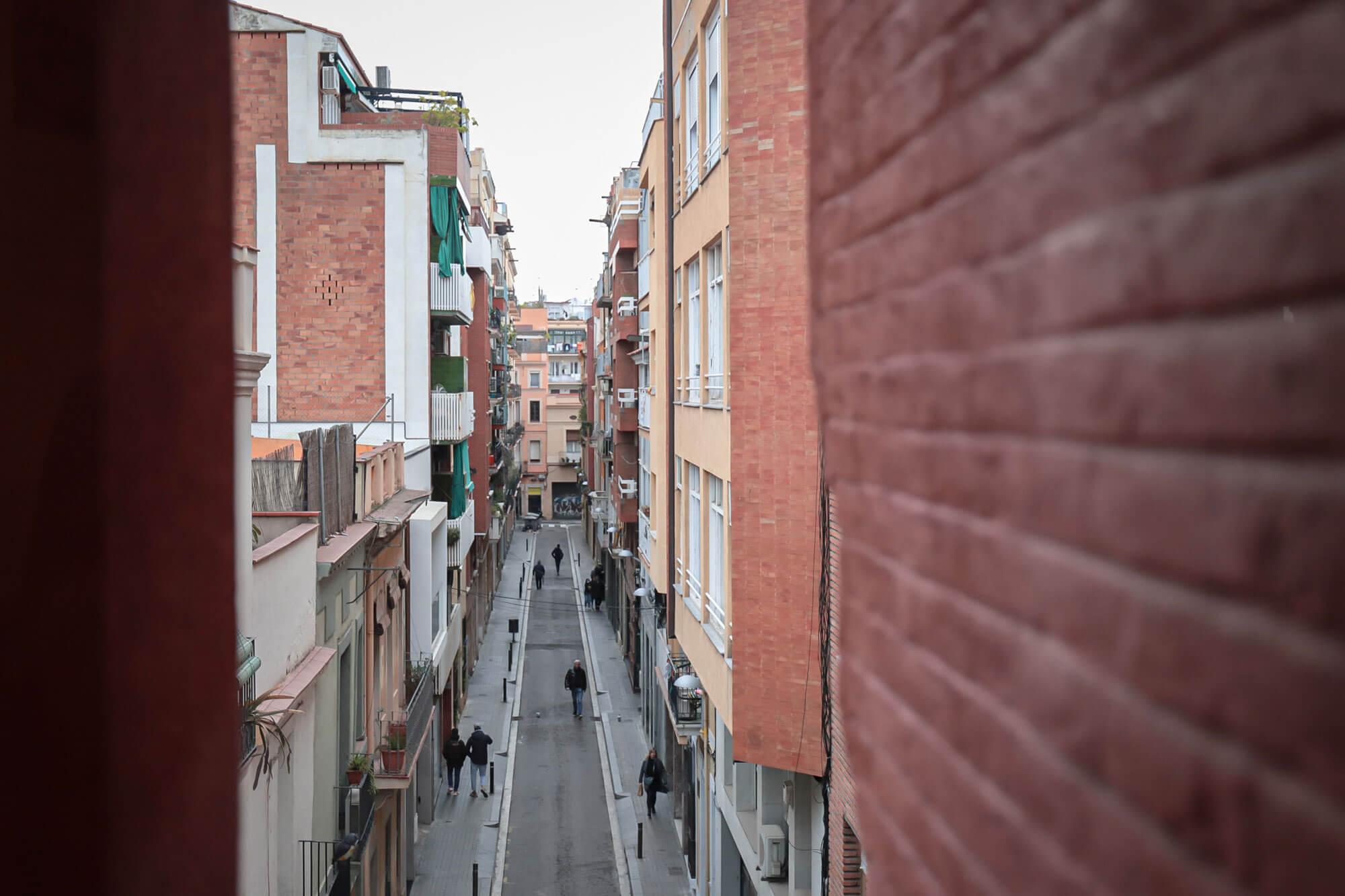 維森斯之家的從屋頂看網接到的樣子