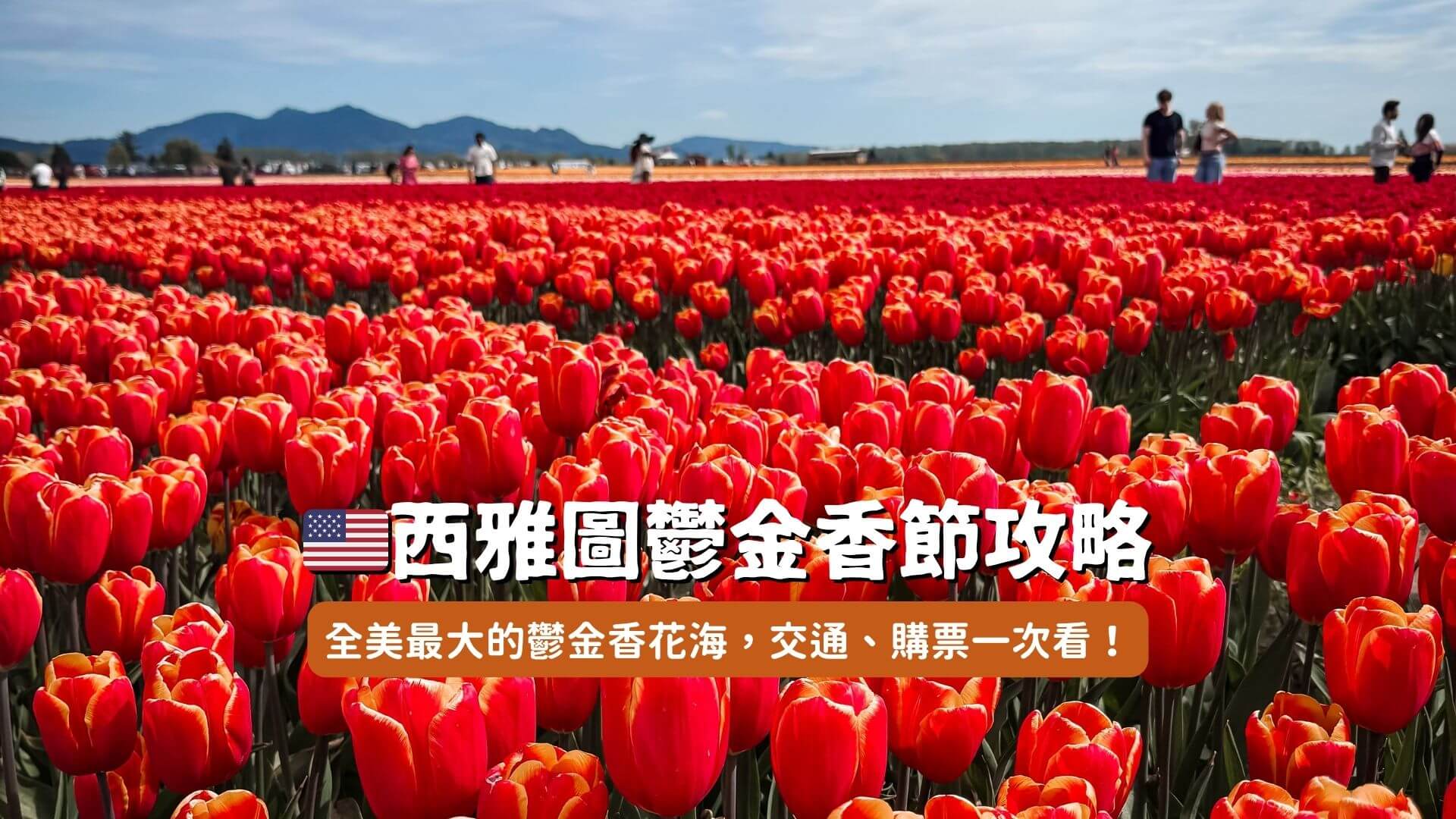 西雅圖鬱金香季-skagit-valley