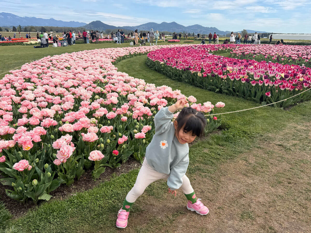 西雅圖鬱金香花海幫女兒拍照