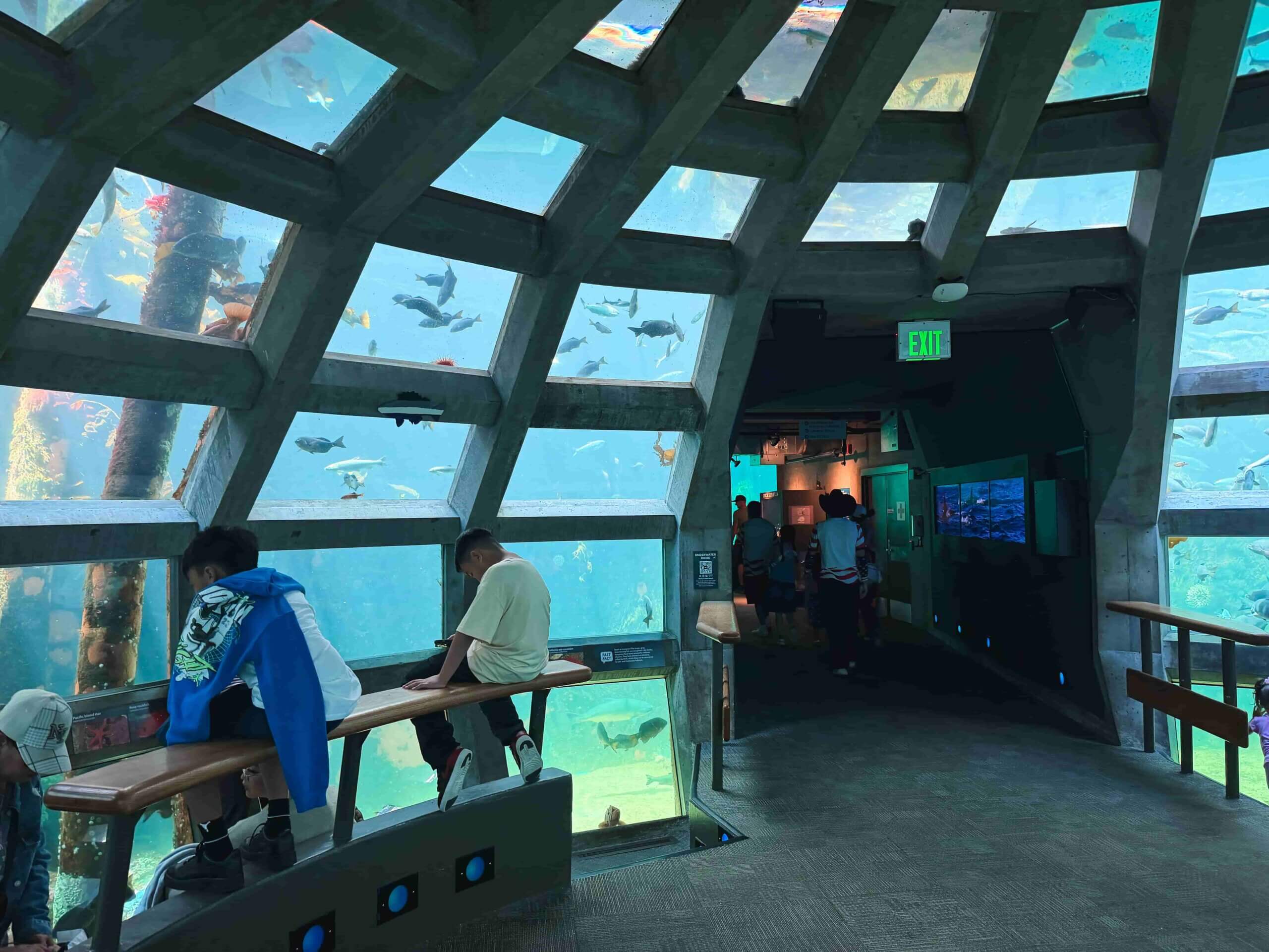 西雅圖水族館內的水下圓頂（Underwater Dome）