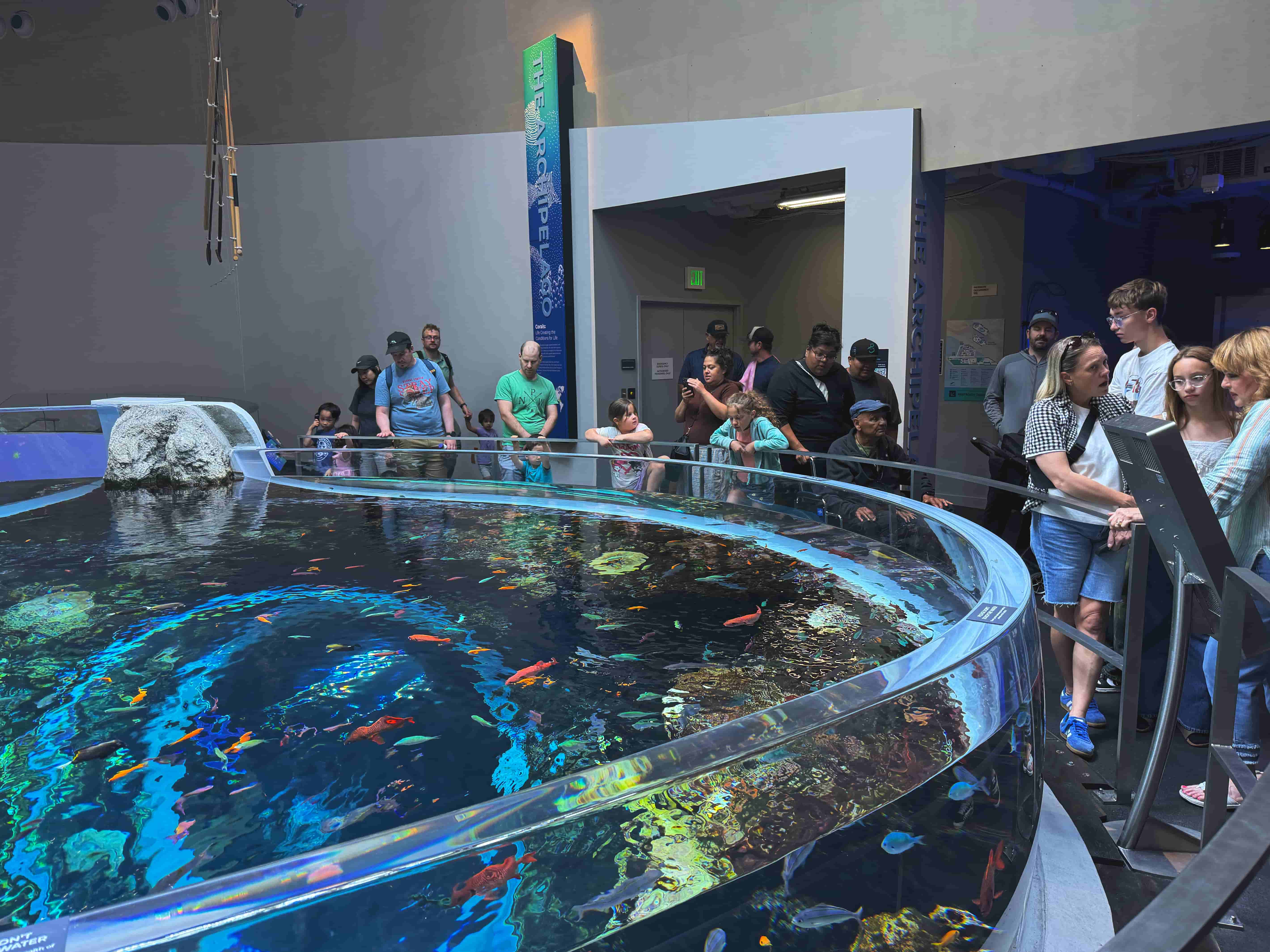 西雅圖水族館新館
