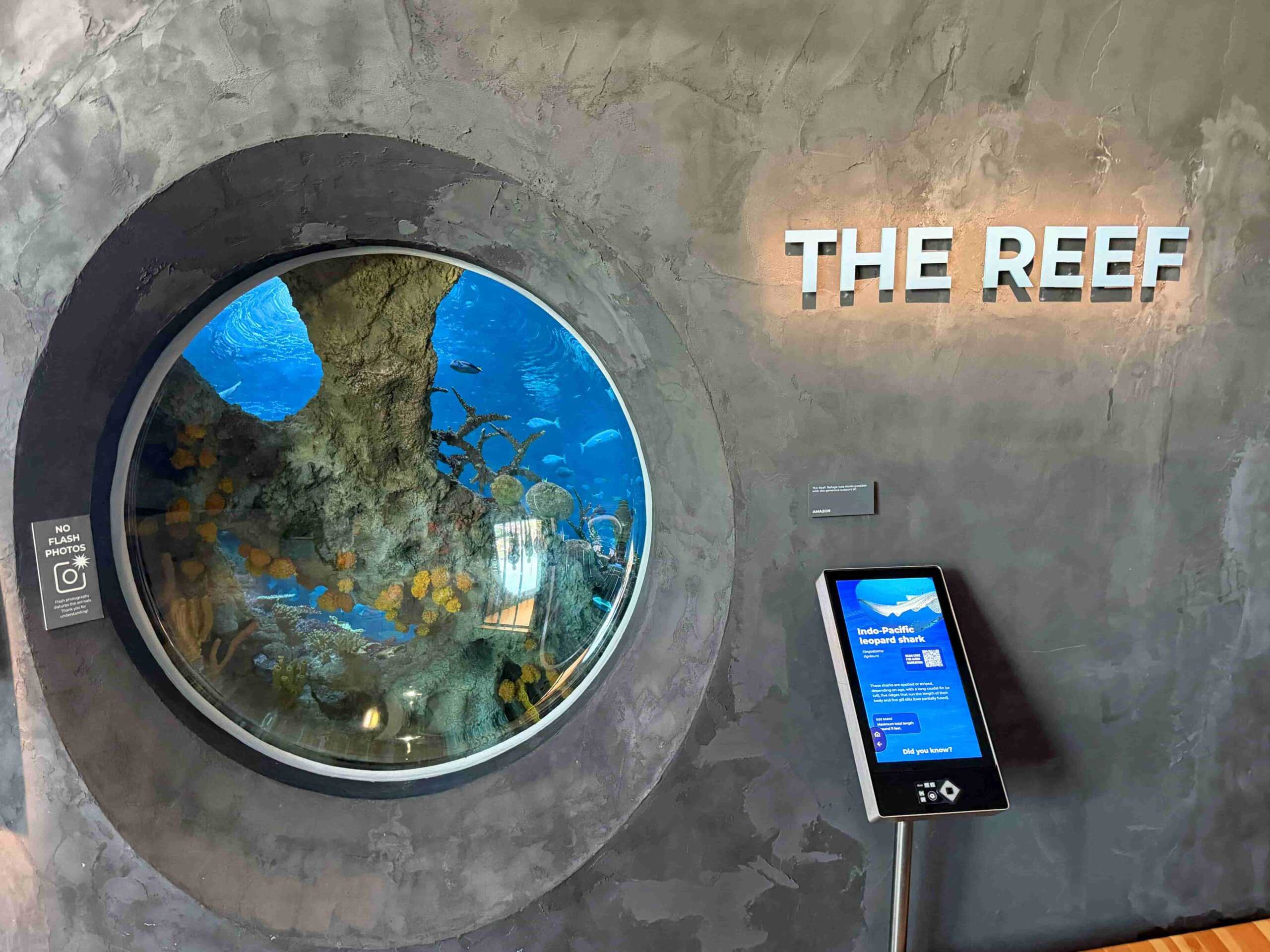 西雅圖水族館珊瑚礁展區